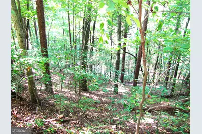 Q24 Goldmine Drive, Ellijay, GA 30536 - Photo 4