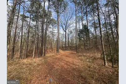 0 Highway 87, Forsyth, GA 31046 - Photo 2