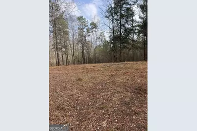 0 Highway 87, Forsyth, GA 31046 - Photo 1