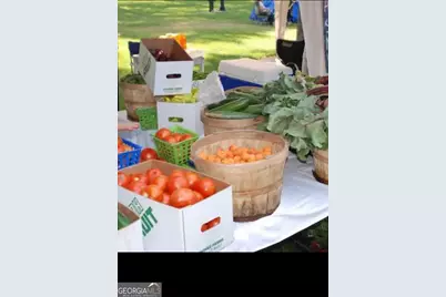 305 Golf Course Road, Menlo, GA 30731 - Photo 26