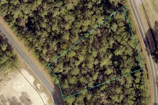 V/L 10 Marina Isle Dr, Woodbine, GA 31569 - Photo 1