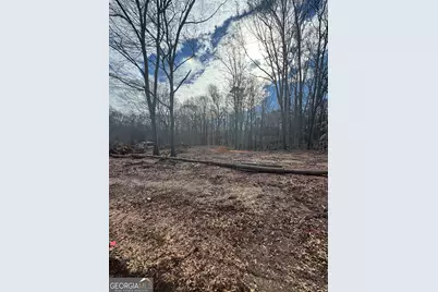 260 Roosevelt Circle, Bowman, GA 30624 - Photo 1