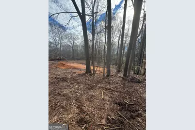 260 Roosevelt Circle, Bowman, GA 30624 - Photo 4
