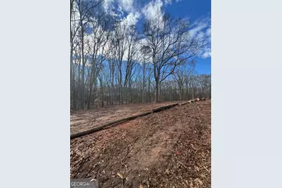 260 Roosevelt Circle, Bowman, GA 30624 - Photo 2