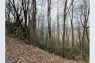 Lot 416 Screamer Drive, Clayton, GA 30525 - Photo 2