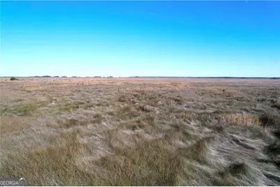 81 Marsh Oak Drive, Brunswick, GA 31525 - Photo 4