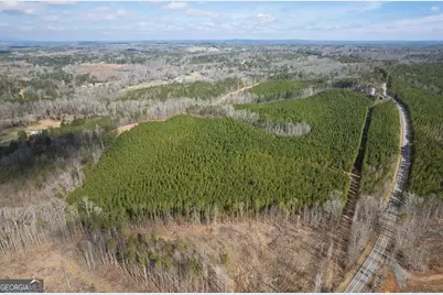 0 Macedonia Church Road, Buchanan, GA 30113 - Photo 4