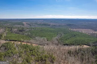 0 Macedonia Church Road, Buchanan, GA 30113 - Photo 6