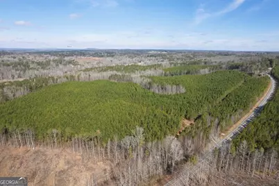 0 Macedonia Church Road, Buchanan, GA 30113 - Photo 12