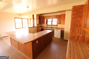 147 W Highland St, Blue Ridge, GA 30513 - Photo 8