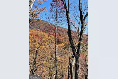 160 Wood Poppy View, Big Canoe, GA 30143 - Photo 72
