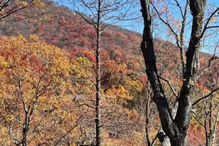 160 Wood Poppy View, Big Canoe, GA 30143 - Photo 72