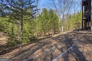 160 Wood Poppy View, Big Canoe, GA 30143 - Photo 62