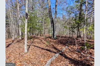 Lot 40 Lola Mae Way, Morganton, GA 30560 - Photo 14