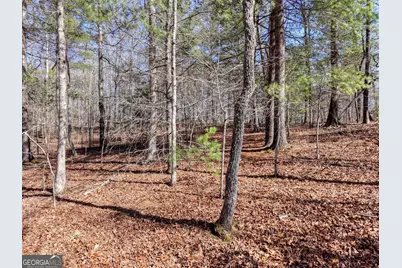 Lot 40 Lola Mae Way, Morganton, GA 30560 - Photo 18