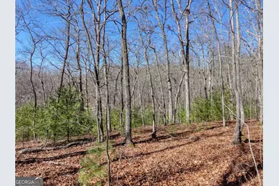 Lot 40 Lola Mae Way, Morganton, GA 30560 - Photo 16