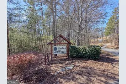 Lot 40 Lola Mae Way, Morganton, GA 30560 - Photo 4