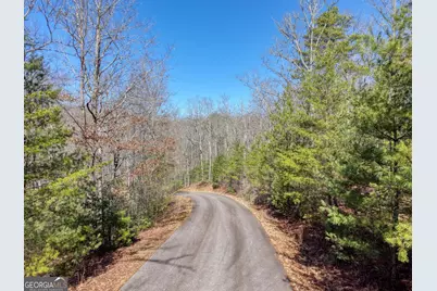 Lot 40 Lola Mae Way, Morganton, GA 30560 - Photo 1
