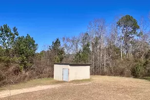 141 Shady Oaks Rd, Eastman, GA 31023 - Photo 8