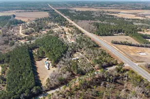 300 Best Bridge Rd, Sylvania, GA 30467 - Photo 32