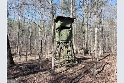 195 Margarets Grove Road SW, Crawfordville, GA 30631 - Photo 26