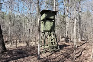 195 Margarets Grove Road SW, Crawfordville, GA 30631 - Photo 26