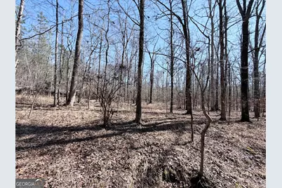 195 Margarets Grove Road SW, Crawfordville, GA 30631 - Photo 20