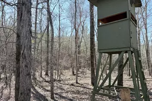 195 Margarets Grove Road SW, Crawfordville, GA 30631 - Photo 24