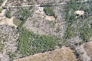 195 Margarets Grove Road SW, Crawfordville, GA 30631 - Photo 32