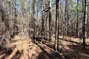 195 Margarets Grove Road SW, Crawfordville, GA 30631 - Photo 22