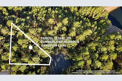 V/L 176 Gamefish Lane, Saint Marys, GA 31558 - Photo 1