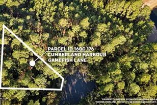 V/L 176 Gamefish Ln, Saint Marys, GA 31558 - Photo 1