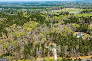 184 Clearview Dr W, Monticello, GA 31064 - Photo 36