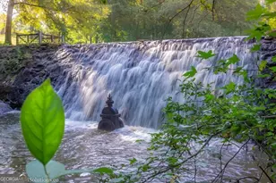 145 VFW Dr, Watkinsville, GA 30677 - Photo 34