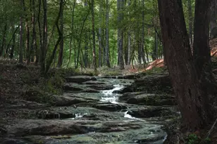 147 VFW Dr, Watkinsville, GA 30677 - Photo 32