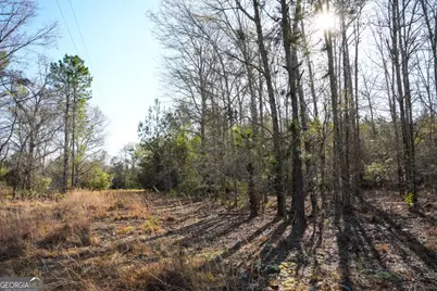 0 Clifton Road, Statesboro, GA 30458 - Photo 8