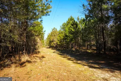 0 Clifton Road, Statesboro, GA 30458 - Photo 14