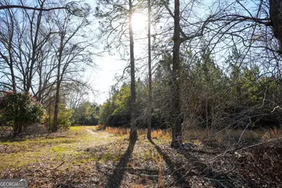 0 Clifton Road, Statesboro, GA 30458 - Photo 1