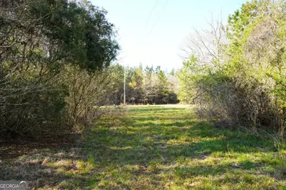 0 Clifton Road, Statesboro, GA 30458 - Photo 22