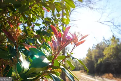 0 Clifton Road, Statesboro, GA 30458 - Photo 12