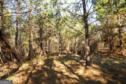 0 Clifton Road, Statesboro, GA 30458 - Photo 18