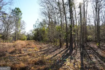 0 Clifton Road, Statesboro, GA 30458 - Photo 6