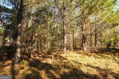 0 Clifton Road, Statesboro, GA 30458 - Photo 20