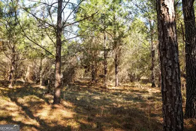 0 Clifton Road, Statesboro, GA 30458 - Photo 16