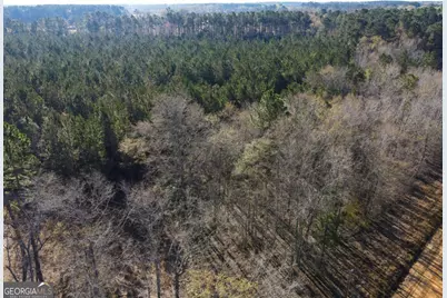 0 Clifton Road, Statesboro, GA 30458 - Photo 2