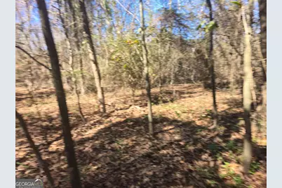 5.26 Acres Old Knoxville Road, Knoxville, GA 31050 - Photo 2