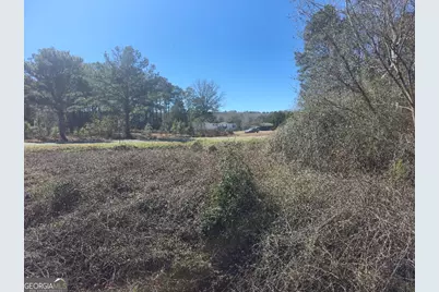 5.26 Acres Old Knoxville Road, Knoxville, GA 31050 - Photo 8