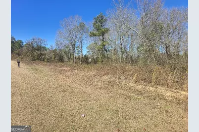 5.26 Acres Old Knoxville Road, Knoxville, GA 31050 - Photo 4
