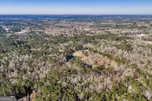 204 Creekside Dr, Gray, GA 31032 - Photo 76