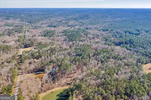 204 Creekside Dr, Gray, GA 31032 - Photo 82